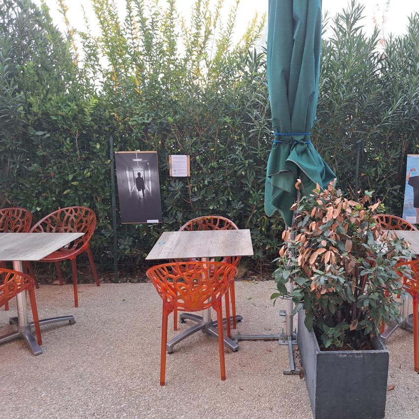 concours-photo-agrave;-travers-d#039;agroparc 2