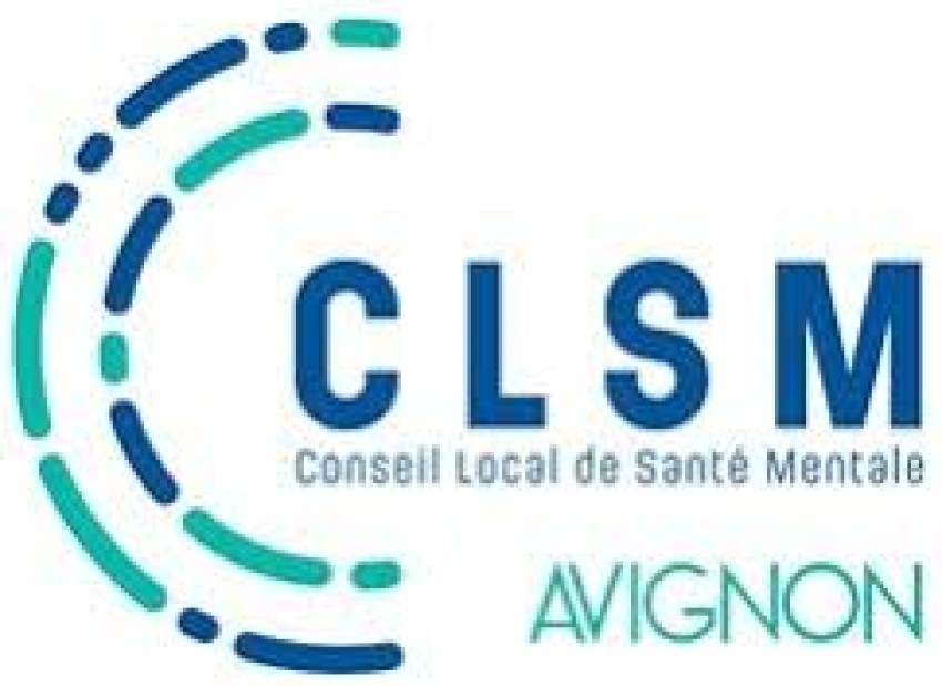 conseil-local-en-santeacute;-mentale